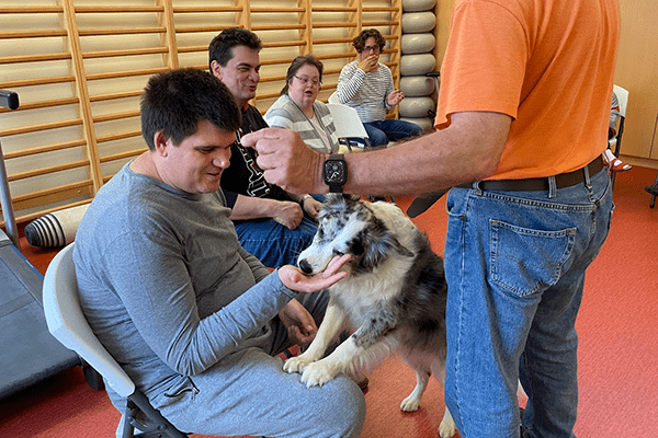 Állatasszisztált (kutyás) terápia